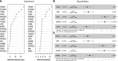 Prognostic Signature of Immune Genes and Immune-Related LncRNAs in Neuroblastoma: A Study Based on GEO and TARGET Datasets